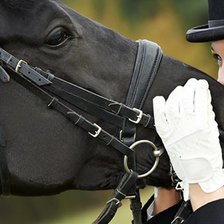 Схема вышивки «девушка и лошадь2»