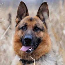 Схема вышивки «но»