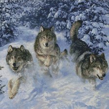 Схема вышивки «волки»