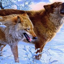 Схема вышивки «волки пара -1»