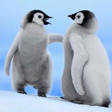 Схема вышивки «Пингвины»