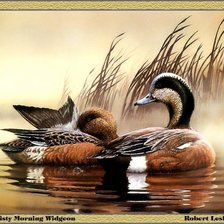 Схема вышивки «утки»