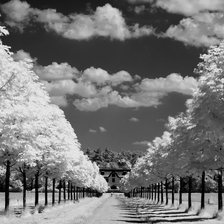 Схема вышивки «trees»