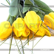 Схема вышивки «№1104883»