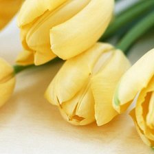 Схема вышивки «5555»