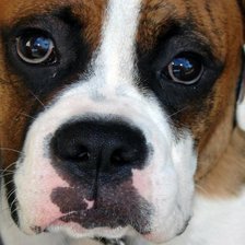 Схема вышивки «№1104972»