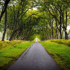 Схема вышивки «Лес»