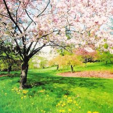 Схема вышивки «весна»