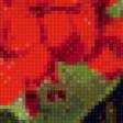 Предпросмотр схемы вышивки «Красная герань» (№1105275)