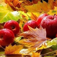 Схема вышивки «№1105318»