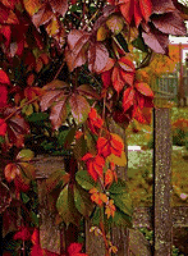 №1105319 - предпросмотр