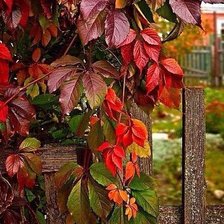 Схема вышивки «№1105319»