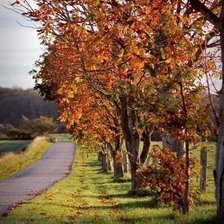 Схема вышивки «автор Воробьёва Н.В»