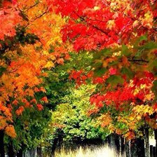 автор Воробьёва Н.В