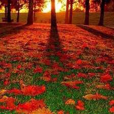 автор Воробьёва Н.В