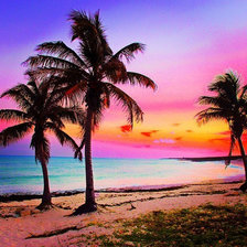 Схема вышивки «пальма»