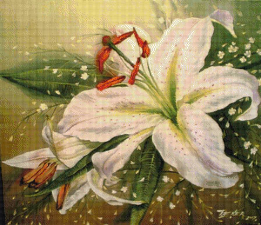 Белая лилия - цветы, лилии, пано - предпросмотр