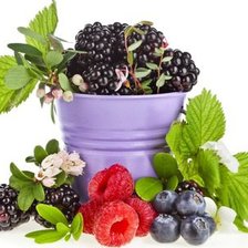 Схема вышивки «ягоды»