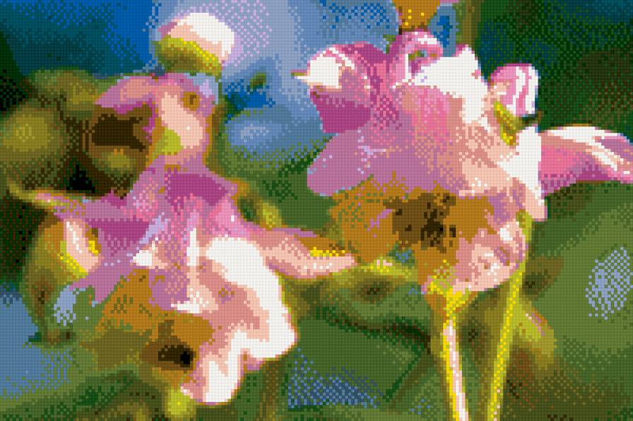 Нежные цветы - лето, природа, цветы, колокольчики - предпросмотр