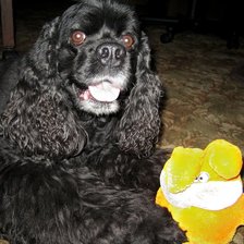 Схема вышивки «Риччи с зайцем»