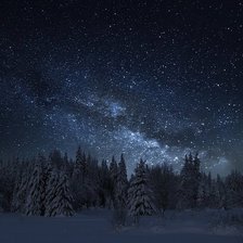 Схема вышивки «Ночной зимний лес»