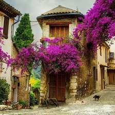 стара улица