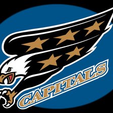 Схема вышивки «вашингтон»