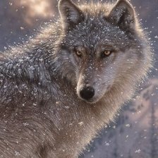 Схема вышивки «№1106568»