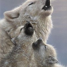 Схема вышивки «№1106569»