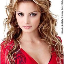 Схема вышивки «Сильвия Наварро»