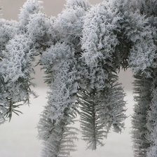 Схема вышивки «изморозь»