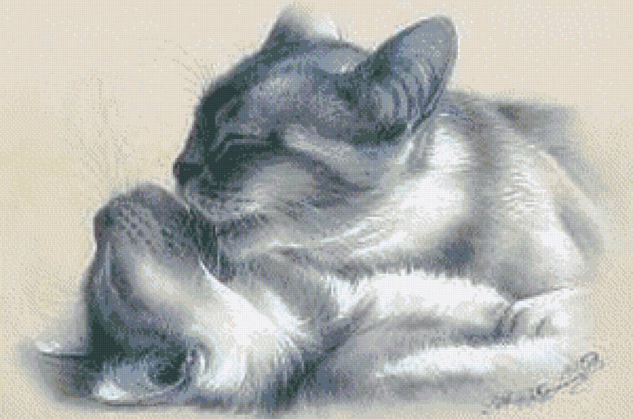 №1107016 - предпросмотр