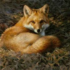 Схема вышивки «Лисичка»