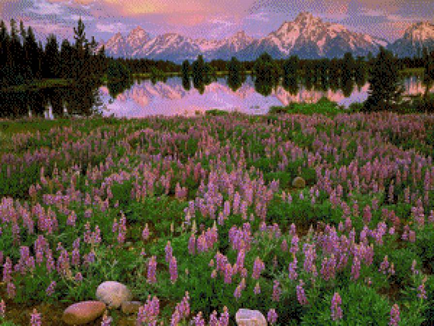 природа,закат - закат - предпросмотр