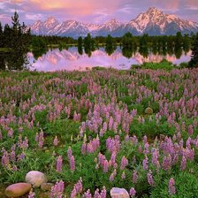 Схема вышивки «природа,закат»