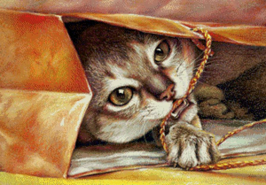 Домашние любимцы - предпросмотр