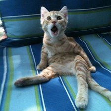 Схема вышивки «№1107466»