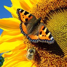 Схема вышивки «№1107476»