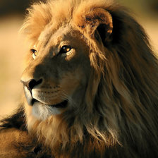 Схема вышивки «Лев-царь зверей»