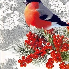 Схема вышивки «снегирь»