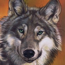 Схема вышивки «волк»