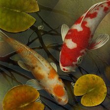 Схема вышивки «карпы кои»