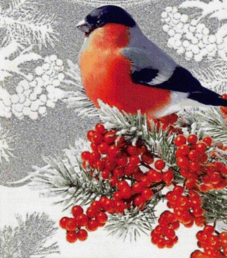 Снегирь - зима, снегири, птицы - предпросмотр