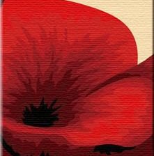 Схема вышивки «маки часть 2»