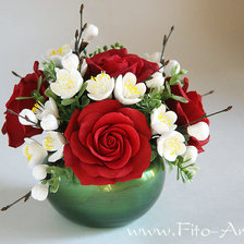 роза красная