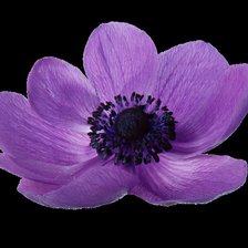 Схема вышивки «цветочек2»