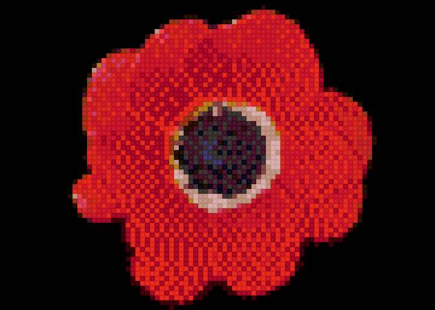 мак - предпросмотр