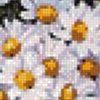 Предпросмотр схемы вышивки «ромашки» (№1107935)