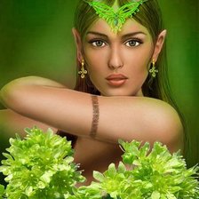 Схема вышивки «эльф»