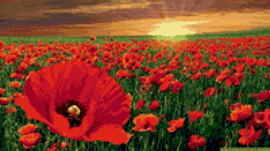 magones - puķes dabasskati ziedi - предпросмотр